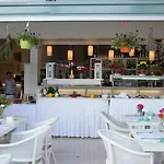 Palm 3* 레팀노