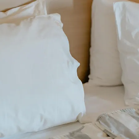 棕榈海滩酒店式公寓 罗希姆诺