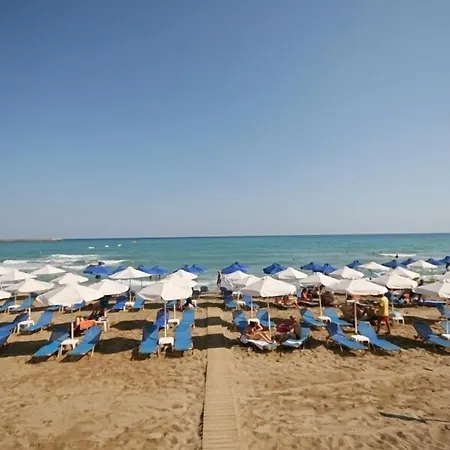 Palm Rethymno